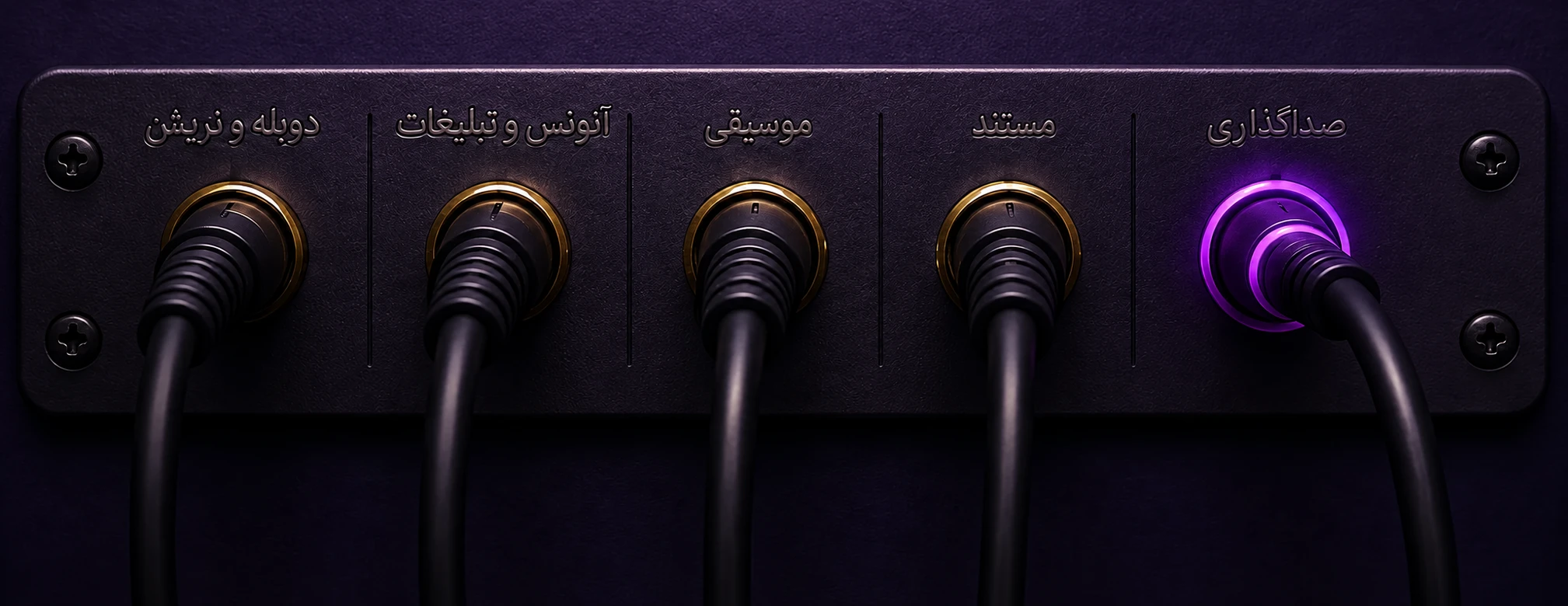 پنل انتخاب سرویس: دوبله و نریشن، آنونس و تبلیغات، موسیقی، مستند، صداگذاری